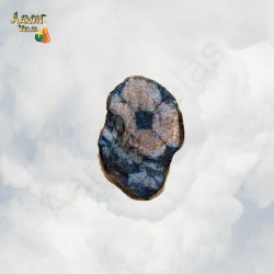 Chapa de quiastolita
